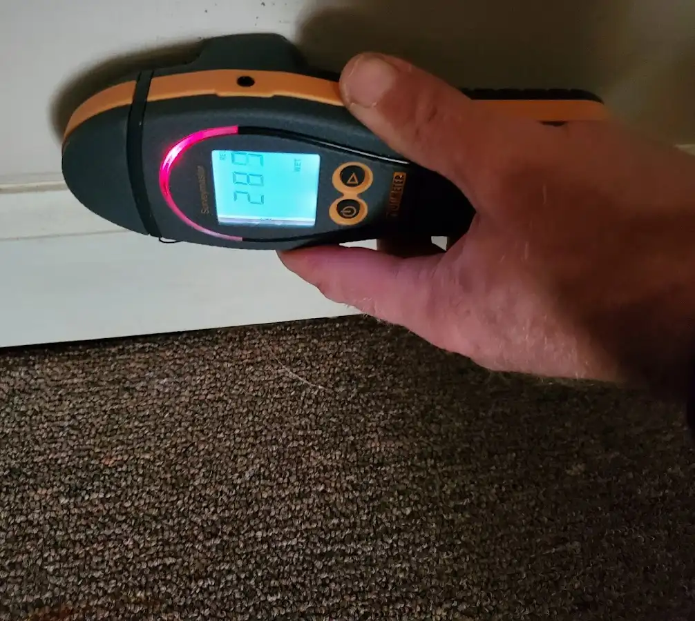 Moisture detection at baseboard during Mold Inspection & Testing in Van Buren